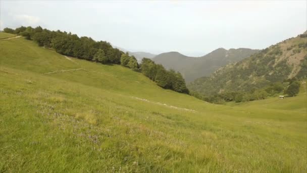 Góry pola w letni dzień — Wideo stockowe