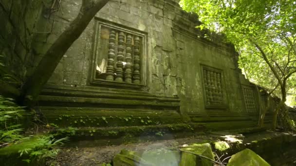 Beng melea temple Unesco world heritage — Stock Video