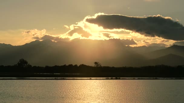 Italian rice fields in vercelli at sunset — Stock Video