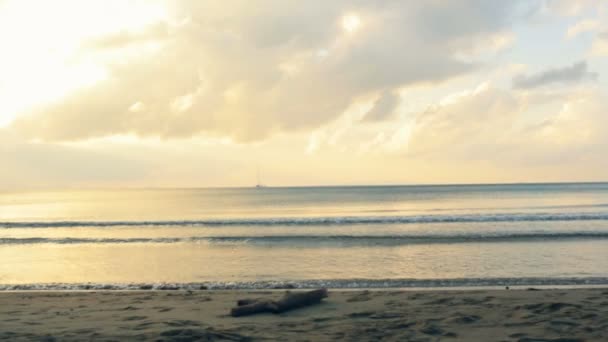 Genç Romantik Çift günbatımında kıyıda yazları açık yürüyüş — Stok video