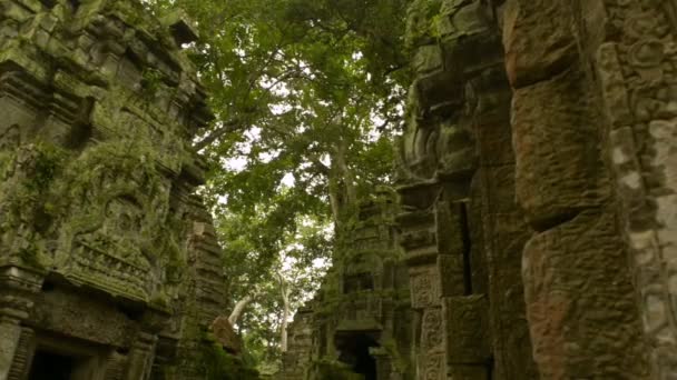 Temple Beng Melea Patrimoine mondial de l'Unesco — Video
