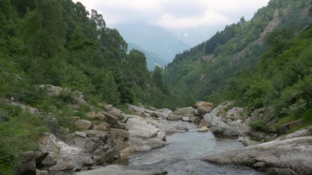 Río con rocas en ambiente de montaña en Piedicavallo en Biella — Vídeos de Stock