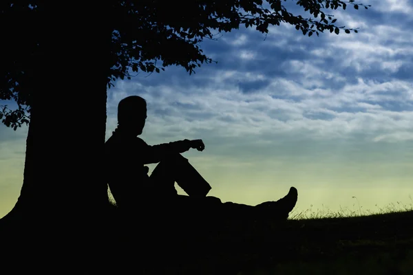 Мужской силуэт, сидящий под деревом в облачный день на открытом воздухе — стоковое фото