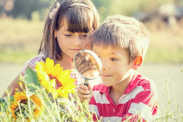 Lächelnde Kinder, die im Garten mit der Lupe spielen — Stockfoto