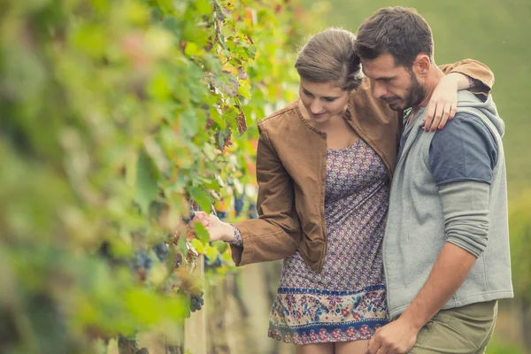 Молодая романтическая пара в винограднике — стоковое фото