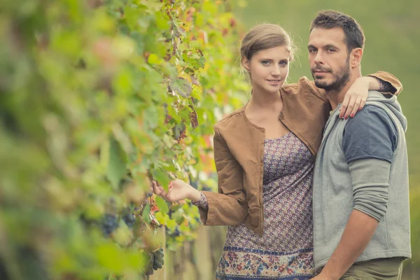 Молодая романтическая пара в винограднике — стоковое фото