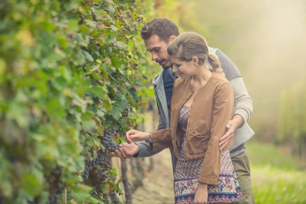 Jong romantische koppel in de wijngaard — Stockfoto