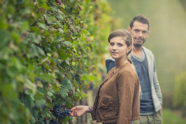 Junges romantisches Paar im Weinberg — Stockfoto