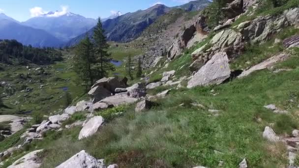 Wandern auf Bergpfad — Stockvideo