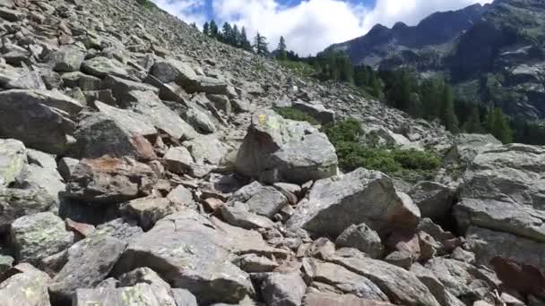 Vandring på berget rocky på skogsstig — Stockvideo