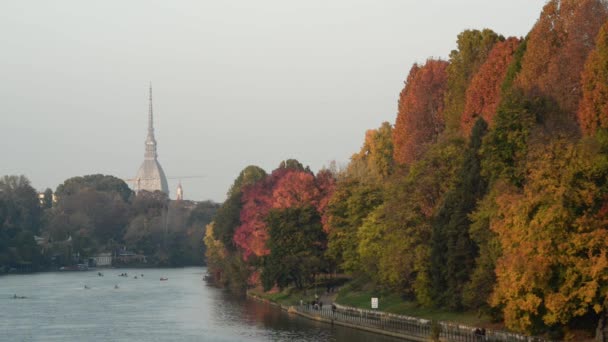 Persone che camminano nel parco — Video Stock