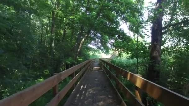 Marche sur les escaliers de la maison en bois — Video