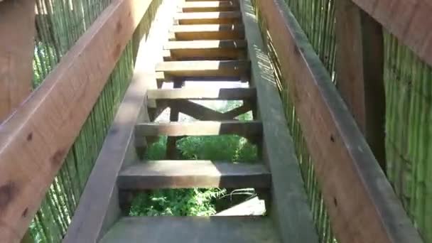 Caminando por las escaleras de la casa de madera — Vídeo de stock