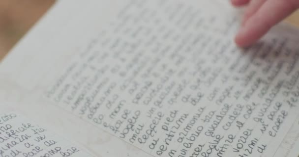 Genç bir kadın günlüğünü sonbaharda okuyor. Günlük sayfasında işaret eden detaylar. yavaş çekim — Stok video