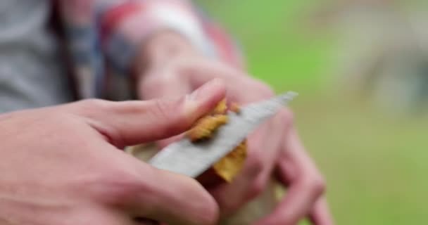 Joven limpiando champiñones después de recogerlo. Descubrimiento de otoño, productos de la naturaleza — Vídeos de Stock