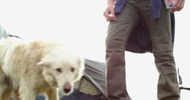 Un giovanotto che coccola il suo cane. Un uomo che accarezza il cane. Proprietario del cane che gioca con il suo animale domestico durante il campeggio. Diverso concetto di amicizia — Video Stock