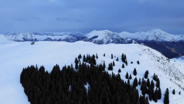 Luchtfoto van donker bos. in de achtergrond besneeuwde bergketen na de eerste sneeuwval in de herfst. Het licht valt door wolken. slow motion — Stockvideo