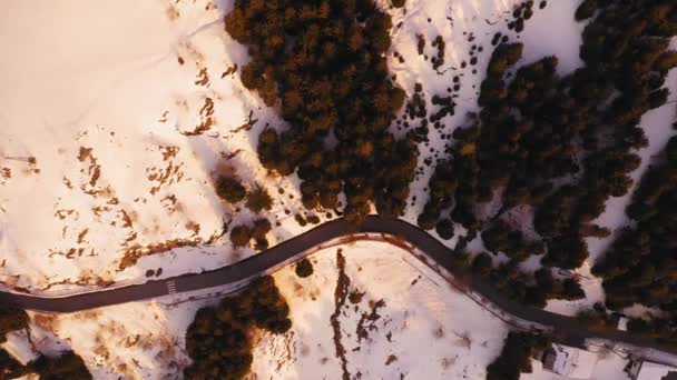 Légi kilátás felett kanyargós út ősszel.Hó a padlón, és színes fenyőerdő. Csavart út hófödte erdőben naplementekor. lassított felvétel — Stock videók