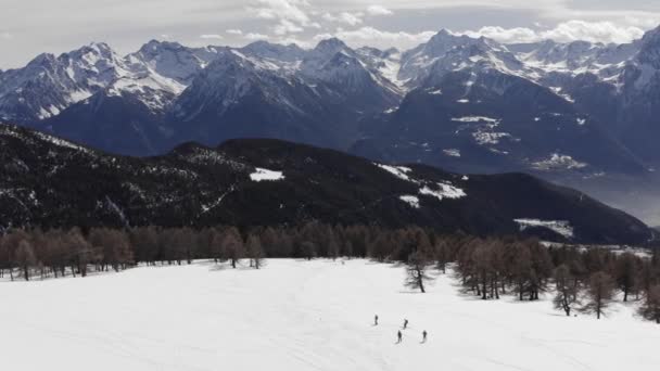 Flygfoto över grupp skidåkare nedför berget, skuggig tallskog, skidåkning nedför den soliga sluttningen. Snöig bergskedja i bakgrunden. slow motion — Stockvideo