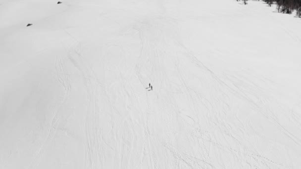 Luchtfoto van volwassenen skiën in de bergen op zoek naar avontuur op de sneeuw. Avontuurlijke mensen skiën in de besneeuwde Alpen op een zonnige dag. — Stockvideo