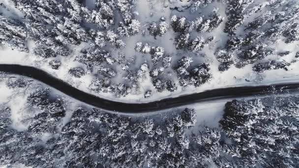 Vista aérea de la carretera de asfalto en altas montañas. Bosque de invierno con nieve, tiempo brumoso. Drone volando sobre la carretera, conducción de un solo coche — Vídeos de Stock