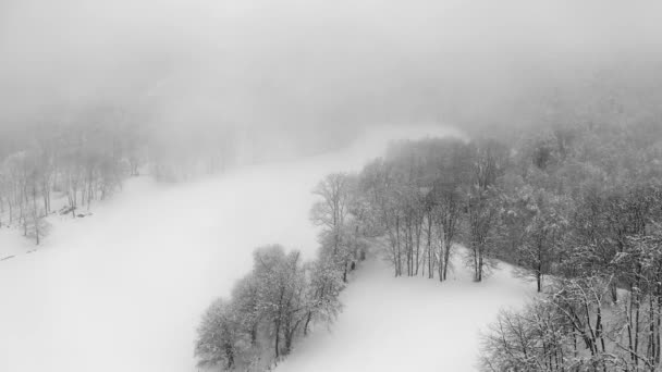 Vista aérea de uma floresta congelada com árvores cobertas de neve no inverno durante o dia nebuloso. Voo acima da floresta de inverno na Itália durante a tempestade de inverno, vista superior. — Vídeo de Stock