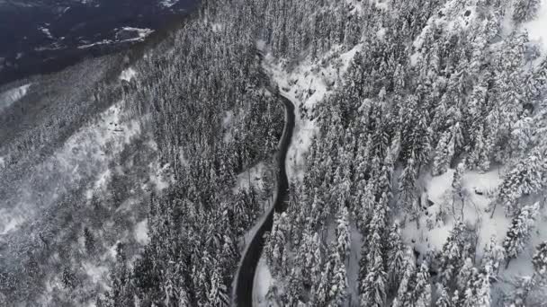 Vista aérea de un camino desértico a lo largo de la ladera nevada de la montaña. Drone vista del bosque de pinos con nieve en ambos lados de la carretera. Movimiento lento — Vídeo de stock