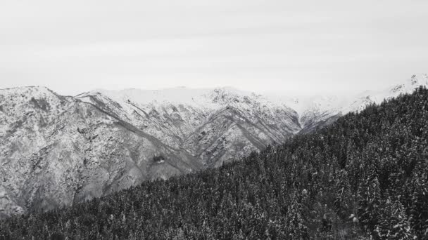 Légi kilátás a hófödte hegyvonulatra. Drón áttekintése havas hegy, sötét erdő és szeszélyes időjárás. Szcenikus táj egy hideg téli utazásban — Stock videók