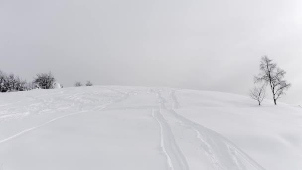 Vista aérea do pico de montanha nevado com pistas de esqui na neve em um inverno e viagem nebulosa. Algumas árvores no lado — Vídeo de Stock