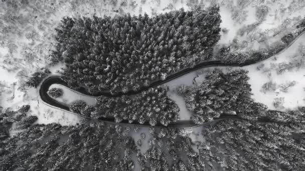 Aerial top down drone shot above the winding mountain road between the snowy trees, Italy. Clima nublado en invierno. Ningún coche conduce a través de la curva. Volando derecho hacia arriba. — Vídeo de stock