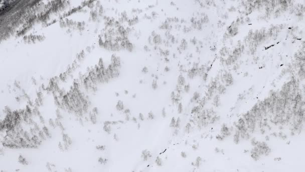 Vista aérea de uma floresta congelada com árvores cobertas de neve no inverno durante a viagem nebulosa. Voo acima da floresta de inverno na Itália durante a tempestade de inverno, vista superior. — Vídeo de Stock