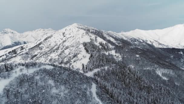 Uitzicht vanuit de lucht besneeuwde bedekte berg. Drone uitzicht op besneeuwde bergketen tijdens een zonnige dag in de winter.Boom donker bos op de berghelling. slow motion — Stockvideo