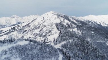Hava manzaralı karlı dağ. Kışın güneşli bir günde karla kaplı dağ sırasının Drone görüntüsü. Dağ yamacındaki ağaç karanlık ormanı. yavaş çekim