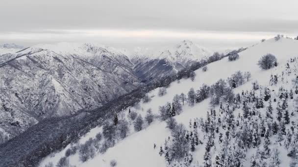 Вид с воздуха на снежный горный ландшафт. Вид беспилотника на заснеженный сосновый лес. Панорамный вид снежного горного хребта, море облаков на заднем плане. Медленное движение — стоковое видео