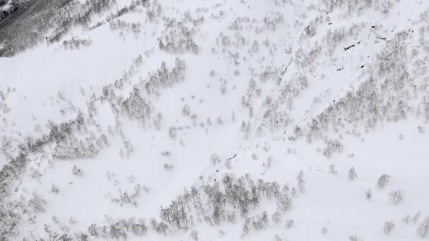 Vista aérea de un bosque congelado con árboles cubiertos de nieve en invierno durante el viaje de niebla. Vuelo sobre el bosque de invierno en Italia durante la tormenta de invierno, vista superior. — Vídeos de Stock