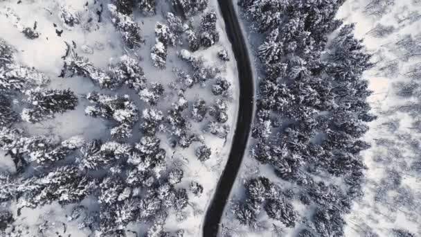 Légi kilátás aszfalt út magas hegyekben. Téli erdő havazással, ködös időjárás. Drón repül az út felett, nincs autó vezetés — Stock videók