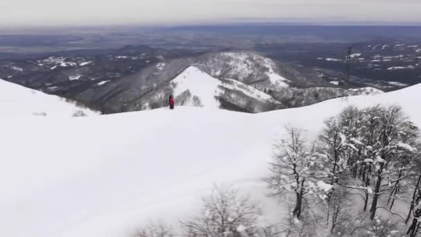 Αεροφωτογραφία δύο ανθρώπων που στέκονται και θαυμάζουν το χιονισμένο πανόραμα. Κηφήνας άποψη του άνδρα και της γυναίκας κοιτάζοντας γύρω, στην κορυφή του βουνού. Κοιλάδα, χιόνι, δάσος στην άκρη. — Αρχείο Βίντεο