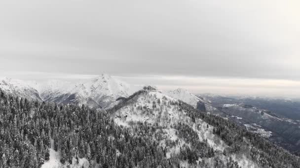 Widok z lotu ptaka na masyw górski. Przegląd Drone śnieżnej góry, ciemny las i humorzasta pogoda. Malowniczy krajobraz w mroźnej zimowej podróży — Wideo stockowe