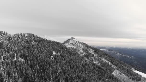 Vista aérea da cordilheira coberta de neve. Visão geral do drone da montanha nevada, floresta escura e clima temperamental. Paisagem cênica em uma viagem fria de inverno — Vídeo de Stock