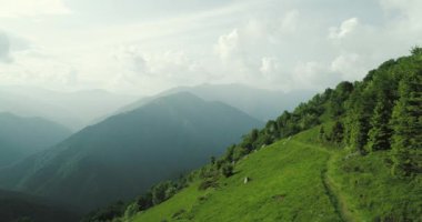 Ormanın üzerinde uçan hava manzarası. Yazın yeşil dağ ve yeşil orman, arka planda dağ sıraları, tepede bulutlar.
