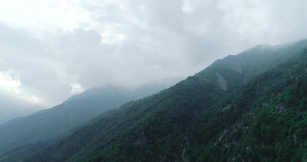 Aerea di volare sopra una bella foresta di montagna verde durante le intemperie. catena montuosa appannata in background. giornata estiva nuvolosa — Video Stock