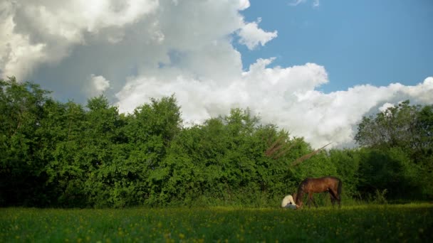 Ung kvinna leker med sin häst. Utomhus video av en blond kvinna vilar i en blommande trädgård för att hennes häst äter i en sommar solnedgång. — Stockvideo