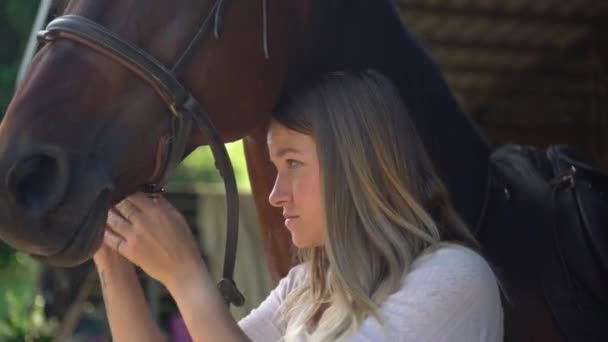 Primer plano de la joven mujer preparando su caballo, poniendo freno y arnés. Mujer fijando melena de arnés en una escuela de equitación — Vídeos de Stock