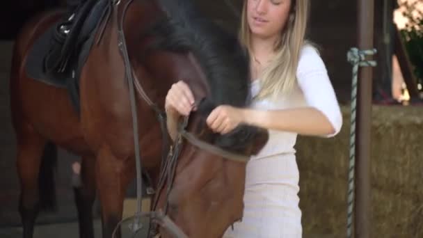 Молодая женщина подготавливает лошадь, завязывая уздечку и упряжь. Женщина чинит гриву от ремней безопасности в школе верховой езды — стоковое видео