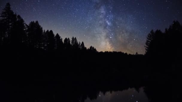 Silueta de bosque de pinos que se refleja en el lago durante la aurora boreal. estrellas, cielo de colores en una hermosa noche — Vídeos de Stock