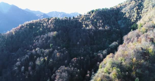 秋には松林のあるカルパチア山脈の空中風景 — ストック動画