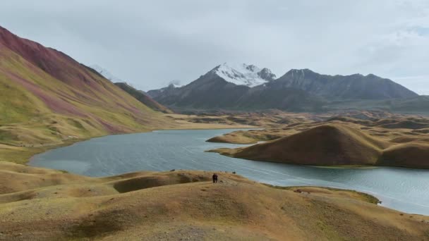 Flygfoto av en vacker dal med omgivande berg. Floden korsade grön och brun dal under solig dag.Tagikistan — Stockvideo