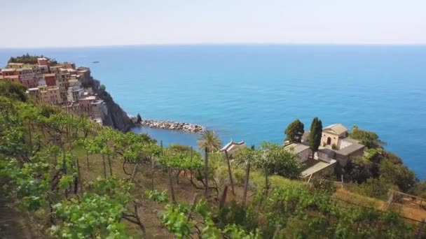 Cinque Terre 'de güneşli bir yaz gününde deniz manzarası. Açık mavi deniz, kayalıklarda renkli evler. Deniz kıyısındaki üzüm bağı.. — Stok video