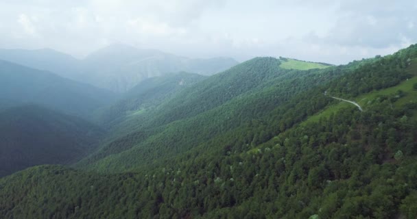 Antena de voar sobre uma bela floresta de montanha verde.Foggy gama de montanhas no fundo. dia de verão ensolarado — Vídeo de Stock