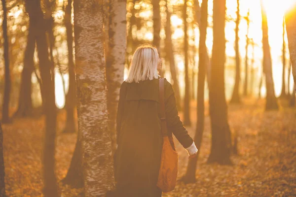 Vit blond kvinna som går genom höstskogen. ryggskott, vardagskläder, lövblad.Varmt solnedgångsljus, solsken och sol. Berättandet av verkliga unga vuxna människor ensamma i höstskogen — Stockfoto